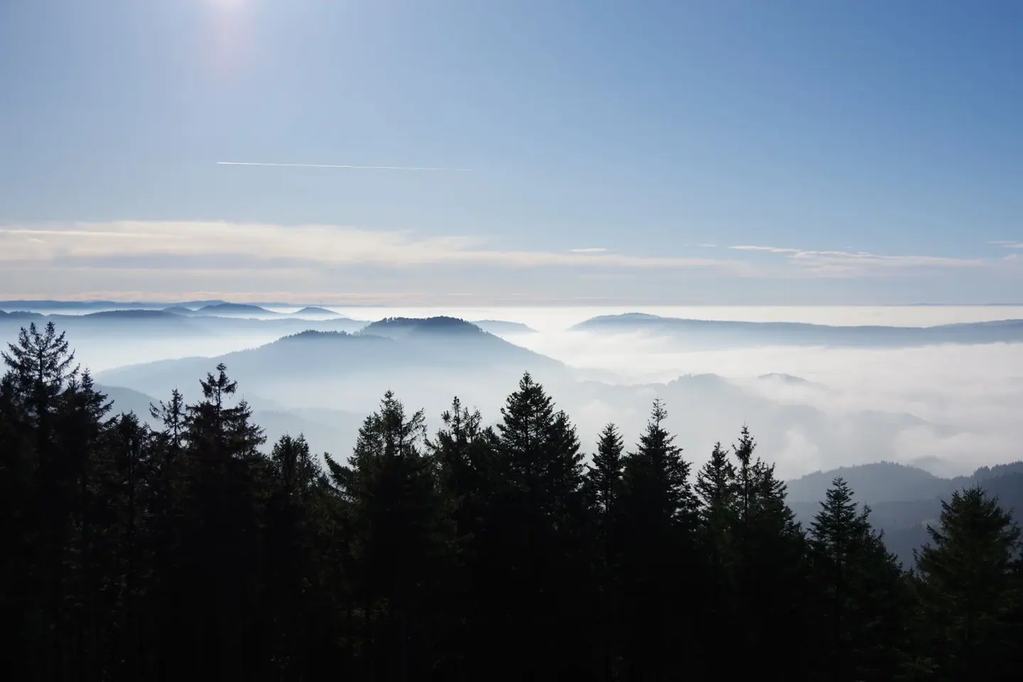 Bewaldete Schwarzwaldhöhen über nebelgefüllten Tälern